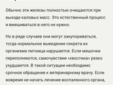 Как поступить?