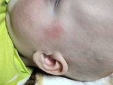 Сфоткано конечно плохо, он