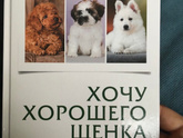 Какая порода собак лучше всех поддается дрессировке?