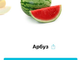 37 неделя