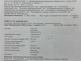 1 скрининг. УЗИ 12,2 по месячным 12,1