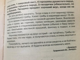 Первый опыт