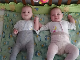 Вес.