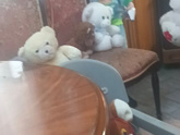 Сынок играет в семью