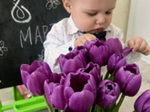 Официально - весна !🌸