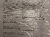 Беременность 31.5