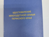 Девочки,Кто получал удостоверение многодетной
