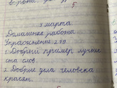 Про оценки)))