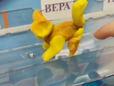 Сегодня были занятия