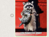 Короче у подруги есть