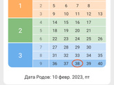 27 недель начало 28