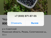 Рязань.