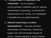 От тыквы на руках стянуло кожу