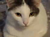 Может сочтете меня не нормальной..??♀️много букв