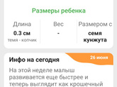 Программа - Беременность