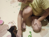 Собака в доме 🐕😍
