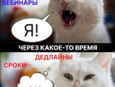 Ну, кто такие же? 🤦♀️