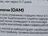 Общий анализ мочи