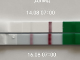 По-прежнему 7 дней до задержки и 12 ДПО