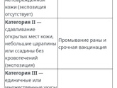 Цапнула собака.