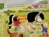 Poppy and Sam’s. Тактильная серия от usborne.