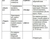 Артикуляционная гимнастика (полезно и для взрослых?)