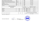 Лимфоциты