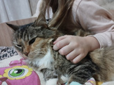 Болеем.
