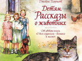 Дорогие девушки ,