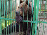 День релакса