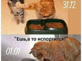 А вы готовы к сезону....??