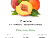 13 недель .