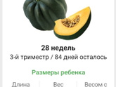 28 НЕДЕЛЬ