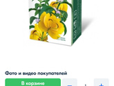 Как очистить организм от шлаков и токсинов