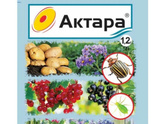 Роза кордана