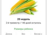 Привет экватор)))
