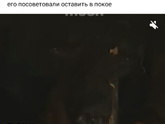 Сюрприз😂