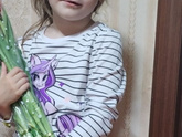 Слов нет