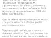 Наконец-то я дождалась!!!