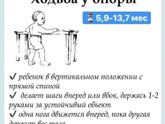 Отсчитывайте развитие по срокам
