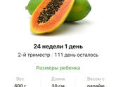 24 недели .