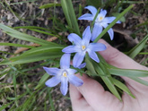 Выходной вайб 🌸😍