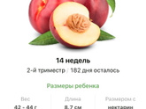 14 недель .