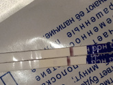 Девочки , подскажите ,