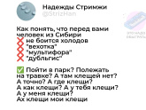 День травм