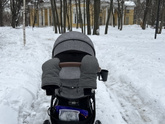 У кого была люлька Stokke trailz