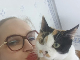 Наши котятки