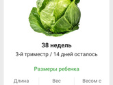 Ещё не родила