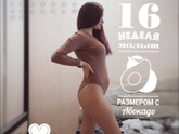 16 недель💜
