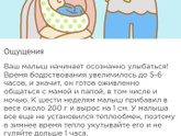 6 недель